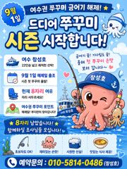 [여수⚔️창성호⚔️] 금어기해제 9월1일 쭈꾸미 8자리여유!