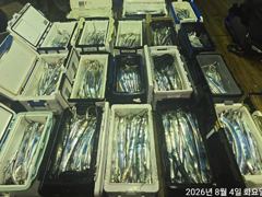 준내만4지3지급철수때까지입질쿨러만~당