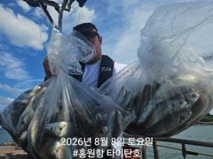 오늘의조황 - [홍원항타이탄호] 8월7일(금) 백조기&부서 굿 조황 - 홍원항 타이탄호