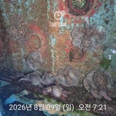 [사천] 암초 포인트 문어 낚시