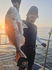 8/8일  한바다호 조황입니다.참돔어디에 숨어 있나요~이곳 저곳 쑤셔봐도보이질않네요~참돔12수,손님고기 우럭8수 4자이상,광어4수 5자이상 백조기 한빠개스  킵하고  입항했네요~조사님들 수고많으셨어요 ~감사합니다.