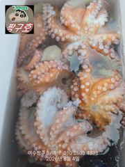 여수 짱구호  8월4일(화) 장원20수 오바 문어 조황