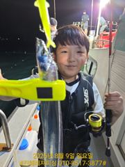 실시간 ㅡ내만칼치 ㅡ루어.텐빈에 잘 올라오네요 (월.화 ㅡ예약가능)