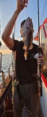 오스타호 26.08.08 오전6시간 우럭광어 조황