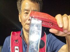 내만갈치버글버글, 오늘출항,예약가능 준내만갈치,외줄갈치, 목요일부터 출항 예약가능