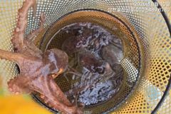 오전10시출조 상쾌하고 시작이좋습니다