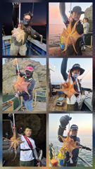 군산나래호(킹덤) 야간문어 이번주 평일 자리 여유있습니다