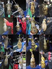 테크호 - 8/14(금) 야간 팁런 첫 출조, 선비 5만원 모집(금,토,일,월~ 모집)