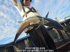 [경주] 폭풍이 끝나면 바로 대삼치 사냥 나갑니다!