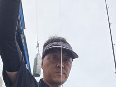 조황정보 - 8/11 백조기 조황 - 무창포선상낚시