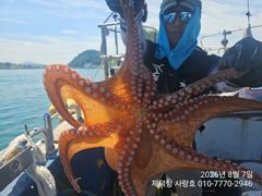 "돌문어"강풍에 KKK들과 트리플힛트!! 개인13수12수10수외 마릿수 팍~팍~(내일 예약가능)