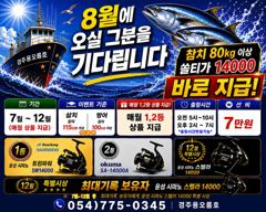 8/14 당일만   무늬오징어(팁런) 선비 5만원.
