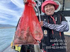 8월 11일 문어 조황입니다.