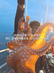[군산] 11일 홈런호 야간문어 15인 굿조황으로 마무리 합니다