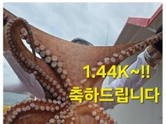 돌문어 14일(금)부터 자리여유!! // 내일13일(목)ㅡ대왕백조기출항확정!!(5만원)ㅡ자리여유!!