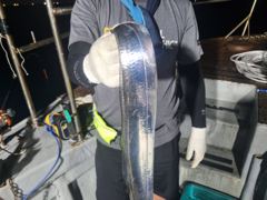 13일 먼바다 갈치루어 빈자리 있습니다