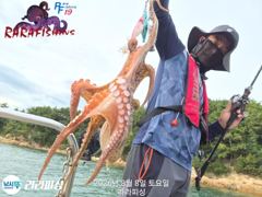 (야간문어) 수.목.금.쭉쭉 예약가능 덩치들 찾으러 가요~