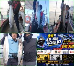 8월14일,15일,16일 오전5시 대삼치출조모집중...