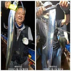 준내만갈치 월요일예약가능합니다