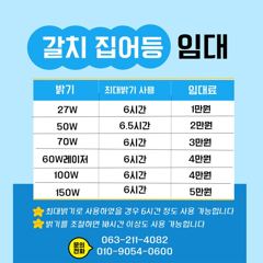 크라운호 야간문어 마무리조황(11일)