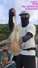 수요일 무늬오징어 실시간조황
