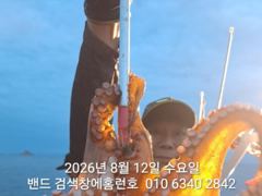 8월12일 군산 홈런호 야간 문어 출조 하였습니다.첫포인트부터 …