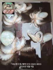 여수 짱구호  8월9일(일) k문어 조황
