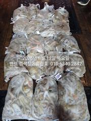 8월12일 굿조항 장원22수 군산 홈런호 야간 문어 마무리 조항 입니다! 준수한 사이즈 문어들이 제법 나와준 하루 였습니다.홈런호에 승선하신 조사님들 수고 하셨습니다.
