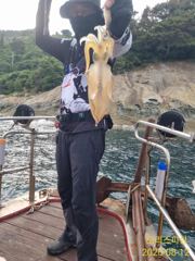 무늬 짬낚갔다 왕창주서담고왔네요