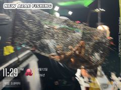 뉴아재피싱 12일 야간문어 다녀왔습니다!