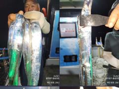 갈산에서 고산으로~