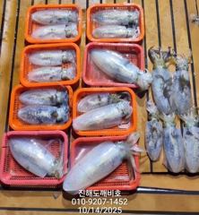 [진해] 야간돌문어 물총쇼 손맛보려가셔요 오늘 예약가능합니다