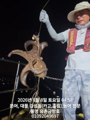 [통영] 통영 금정호 주말 문어선상 출항합니다 자리있어요~ 이벤트진행중^…