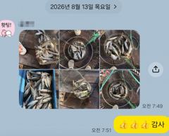 [마산] 마산 원전 선상낚시터 야간 조황