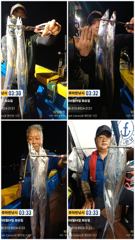 준내만갈치)내일부터 다시 시작됩니다(17일 월요일부터 예약가능합니다)