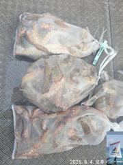 [사천] 돌문어 출조 (광복절 휴일 15일,16일 17일 모집중)