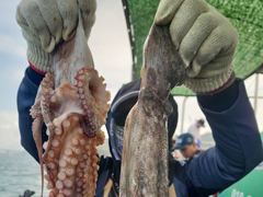 세진호/돌문어kg.중치들마릿수많이~금.가능~