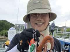 이번주 연휴 돌문어 뜯으실분 연락주십시요. 감사합니다.