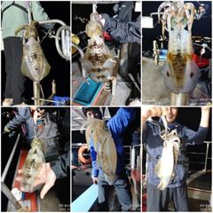 8월15~16일 이런애들 만나러 갑시다.. 저녁7시 무늬출조