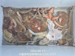 (수월호피싱레져)8/13사량권 돌문어 키로급 쩍쩍달라붙네요.손맛보러오셔요.
