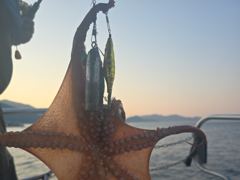 [사천] 토요일 돌문어 출조 합니다~^^ (자리많아요~~~~~~~~ )