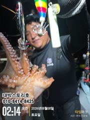 [통영] 사량도 돌문어 ~ 출항합니다~