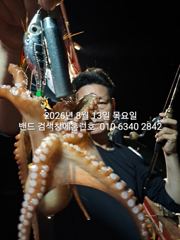 8월13일 군산 홈런호 16명 조사님과 야간 문어 출조 하였습니다.변함없이 반겨주는 문어들 실시간 구경 하세요!