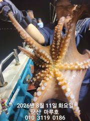 8월 11일  야간문어 출조~