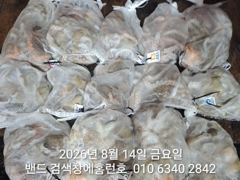 8월13일 장원21수 군산 홈런호 야간 문어 마무리 조항 입니다.오늘도 홈런호에 승선하신 조사님들 수고 하셨습니다.