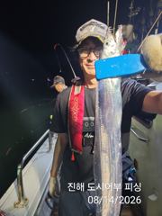 14일새벽 내만갈치 루어 텐빈 잘 올라 옵니다~!! 일.월.화~예약중