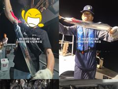[진해] 진해내만갈치~ 굵직한 시알~잔시알~ 많타 많아~~오늘 예약가능~…