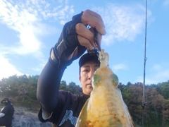 [통영] [무늬] 13일 호조황 이어갑니다.