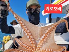 [여수,광양] 8월16일부터 돌문어 자리가능~~~17일.18일 종일반 출조자리…