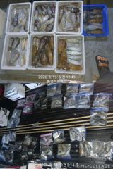 [통영] 무늬팁런!!#36~37번째 1,7k외~200여수까지~